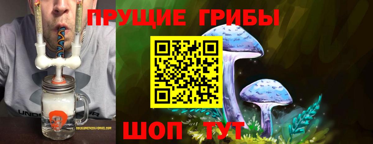 Нягань  Псилоцибиновые грибы Psilocybe  Вход с VPN 